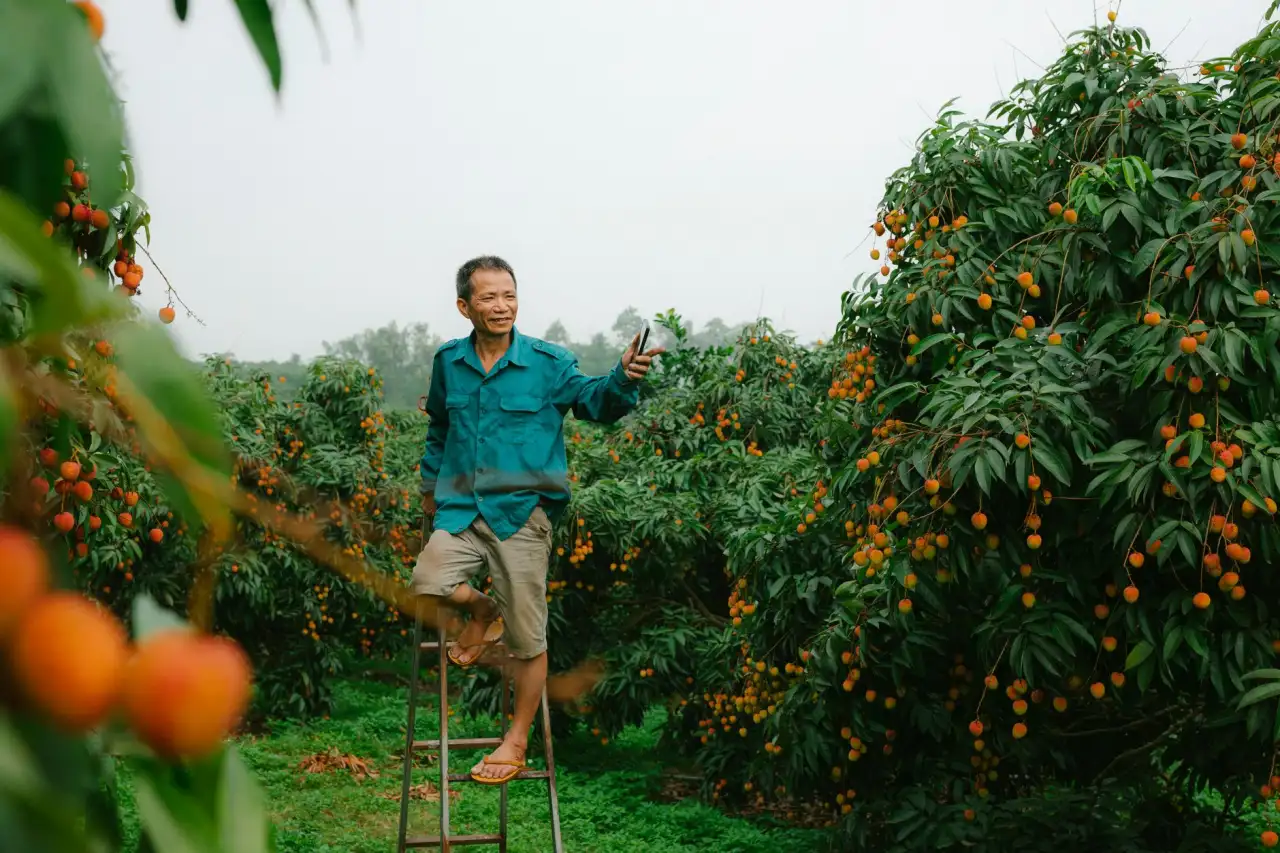 企业级Web应用防火墙选型指南：核心功能与部署要点解析