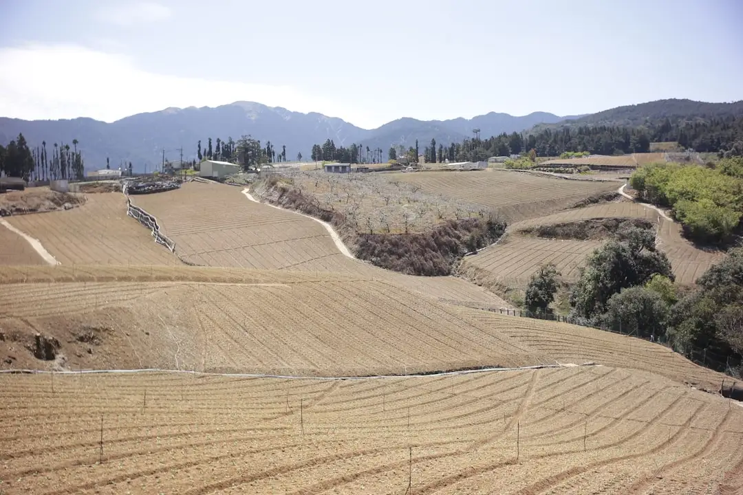 深圳博海维天Web应用防火墙与网页防篡改设备部署方案解析